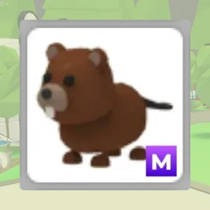 M Beaver