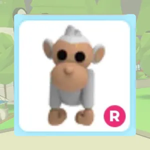 R Albino Monkey