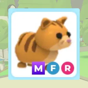 MFR Ginger Cat