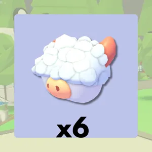 Aberdeen Angus Box x6