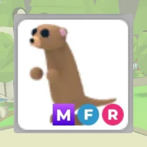 MFR Meerkat