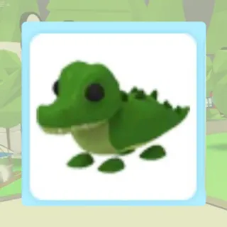 Crocodile