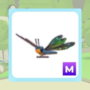 M Clubtail Dragonfly