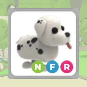 NFR Dalmatian