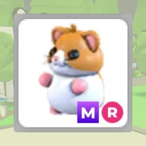 MR Hamster