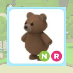 NR Brown Bear