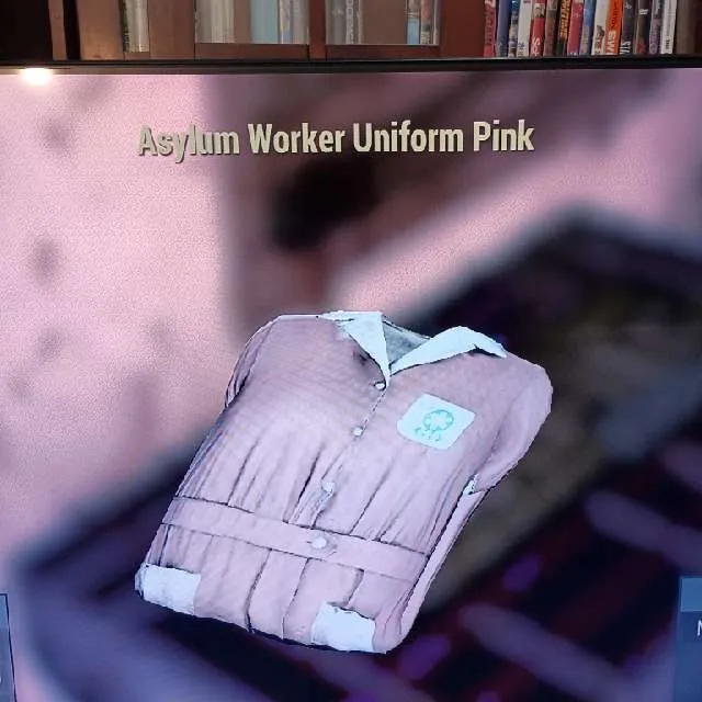 pink asylum dress fallout 76 What can a pink asylum dress get me? [Price Check] : r/Market76