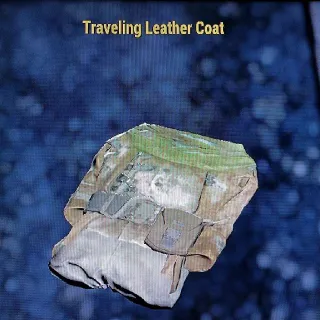 TRAVELING LEATHER COAT