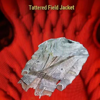 TATTERED FIELD JACKET 🧥