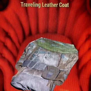 TRAVELING LEATHER COAT