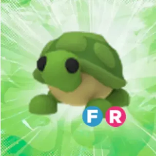 FR Turtle FR | Ready Unit 