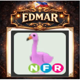 NFR FLAMINGO