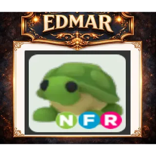NFR turtle