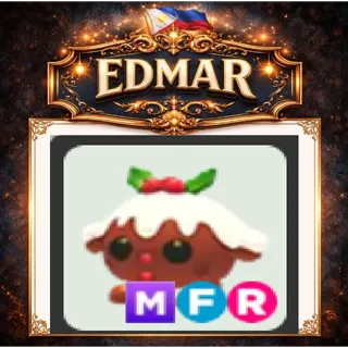 MFR christmas pudding
