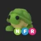 NFR turtle