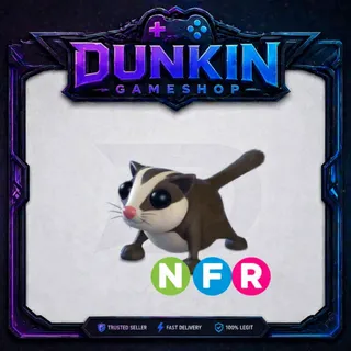 NFR sugarglider
