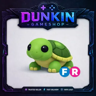 FR turtle