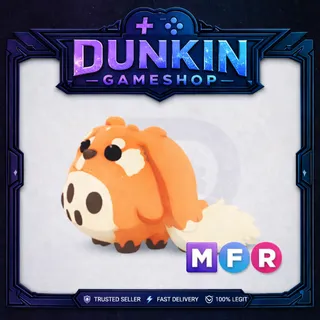 MFR cabbit