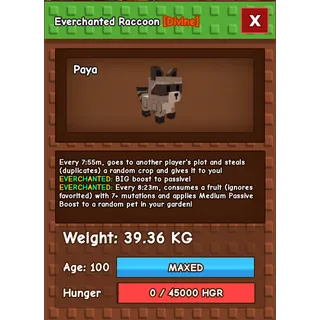 39kg Everchanted Raccoon - GAG