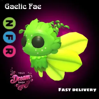 NFR Gaelic Fae