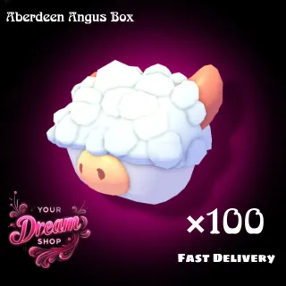 300× Aberdeen Angus Box