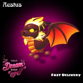Aestus