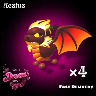 4×Aestus