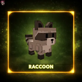 Raccoon - Grow a Garden