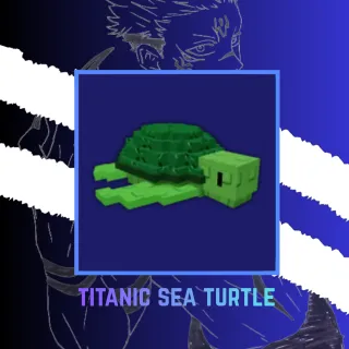 20s CD Sea Turtle ~ Without Toy