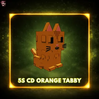 Titanic Orange Tabby - 80KG