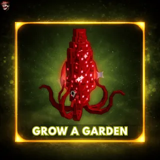 7x Huge Ruby Squid - Age 100