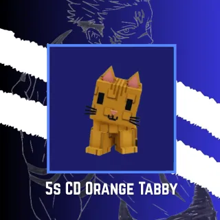 5s CD Huge Orange Tabby