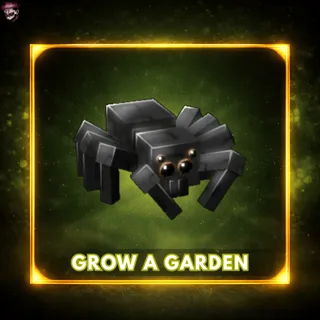 Titanic Spider - 80KG+