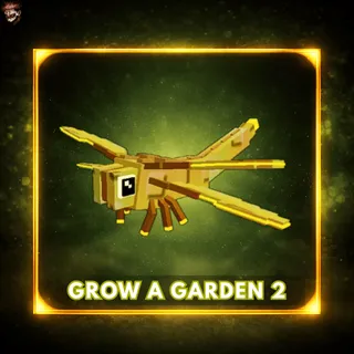 5x Golden Dragonfly