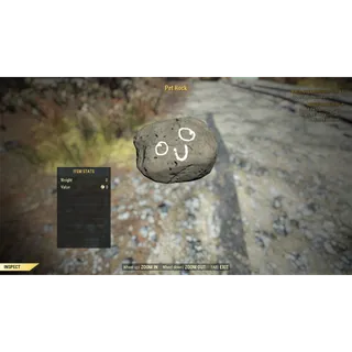 Pet rock [PC]