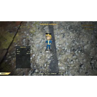 Intelligence Bobblehead x100