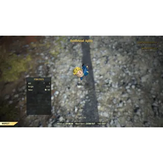 Agility Bobblehead x100