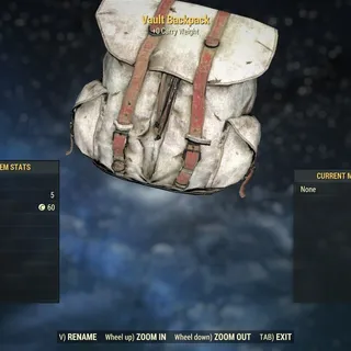 White - Vaultbackpack (Mega rare Dev)