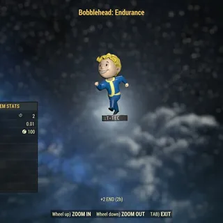Endurance Bobblehead x1000