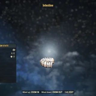 Intestine (Mega rare Dev) 