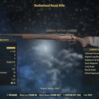 BOS Recon Rifle :Unrolled/Rollable: (Mega Super Rare)