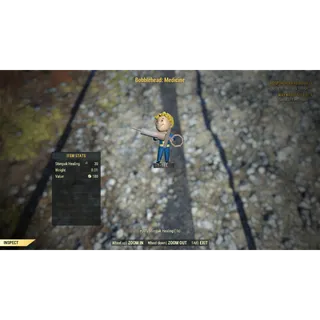 Medicine Bobblehead x100