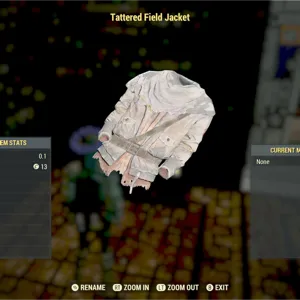 Tattered Field Jacket