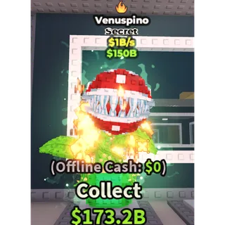 VENUSPINO 1B/s