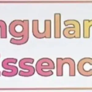 Singularity Essence