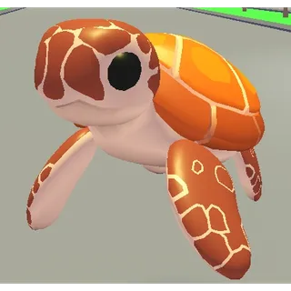 4x Sea Turtle