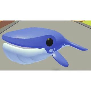 8x Blue Whale