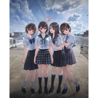 BLUE REFLECTION Quartet