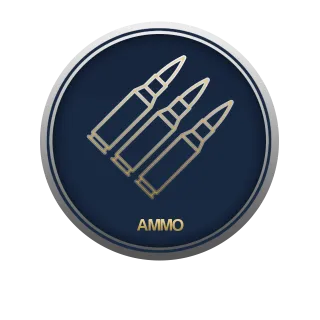 All types of ammo 100.000