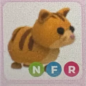 NFR ginger cat